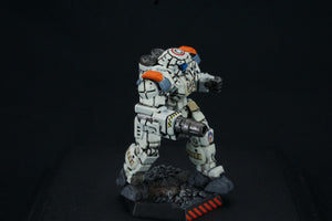 Battletech Catalyst Comstar Inner Sphere Urban Lance Pro Painted (Made to Order)