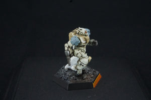 Battletech Catalyst Comstar Inner Sphere Battle Lance Pro Painted (Made to Order)