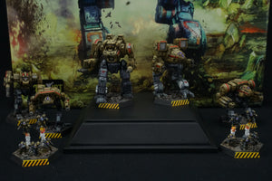 Battletech Catalyst Clan Invasion Box Set Clan Wolf Pro Painted (Made to Order)