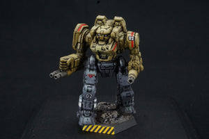 Battletech Catalyst Clan Invasion Box Set Clan Wolf Pro Painted (Made to Order)