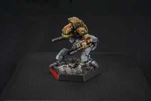 Battletech Catalyst Clan Wolf Beta Galaxy - Clan Fire Star Pro Painted (Made to Order)