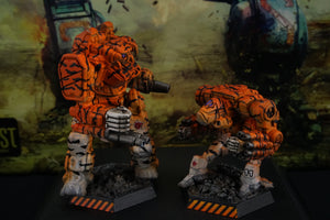 Battletech Catalyst Clan Invasion Box Set Clan Wolf Gamma Galaxy Pro Painted (Made to Order)